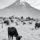 gray scale photo of cattle